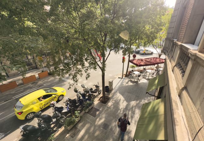 Alquiler por habitaciones en Barcelona - Plaza España Residence H1 Alquiler por habitaciones en Barcelona - Plaza España Residence H1