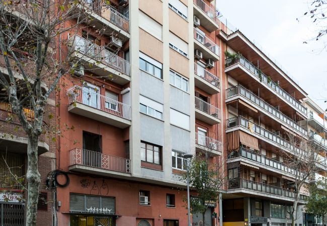 Rent by room in Barcelona - North Station Residence H2 Rent by room in Barcelona - North Station Residence H2