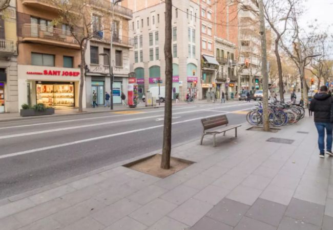 Rent by room in Barcelona - Sants Residence H2 Rent by room in Barcelona - Sants Residence H2