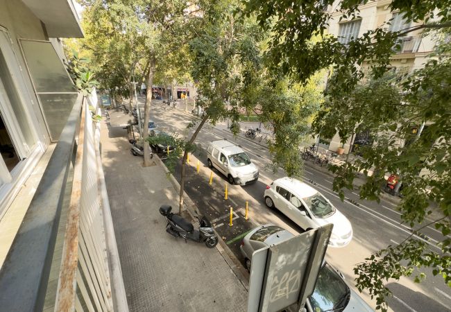 Rent by room in Barcelona - Plaza España Residence H1 Rent by room in Barcelona - Plaza España Residence H1
