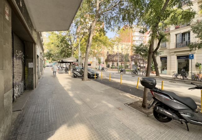 Rent by room in Barcelona - Plaza España Residence H1 Rent by room in Barcelona - Plaza España Residence H1